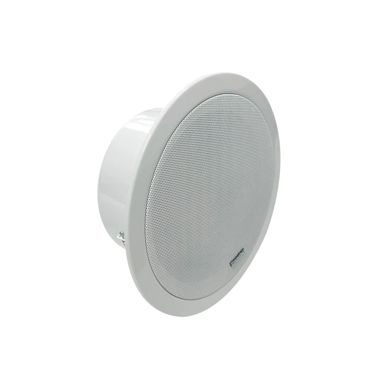 ceiling loudspeaker